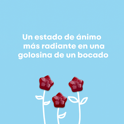 Mood Munchies: más calma, enfoque y sonrisa para tu hijo - TodoBacano
