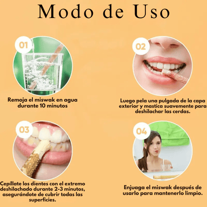 Miswak Original Cepillo de dientes Natural X5 - TodoBacano