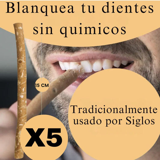 Miswak Original Cepillo de dientes Natural X5 - TodoBacano