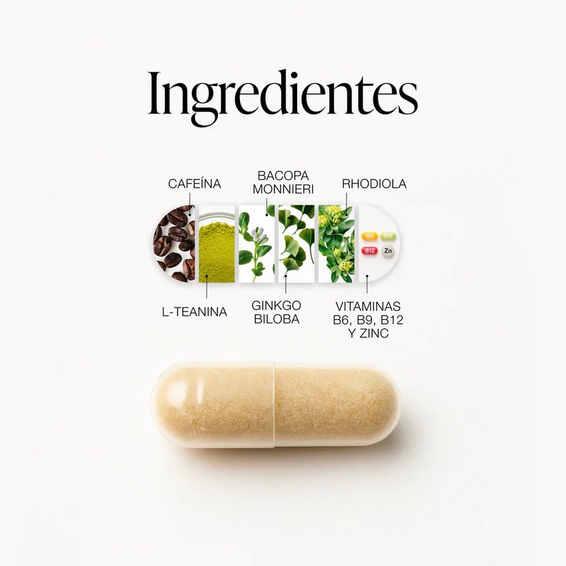 ZZEN Focus Nootrópico Natural - 60 Comprimidos. - TodoBacano