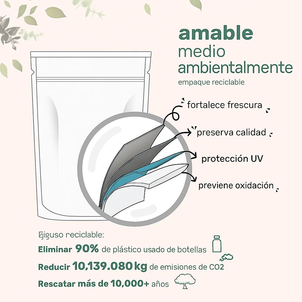 Café de Hongos Orgánica: claridad mental sin ansiedad - TodoBacano