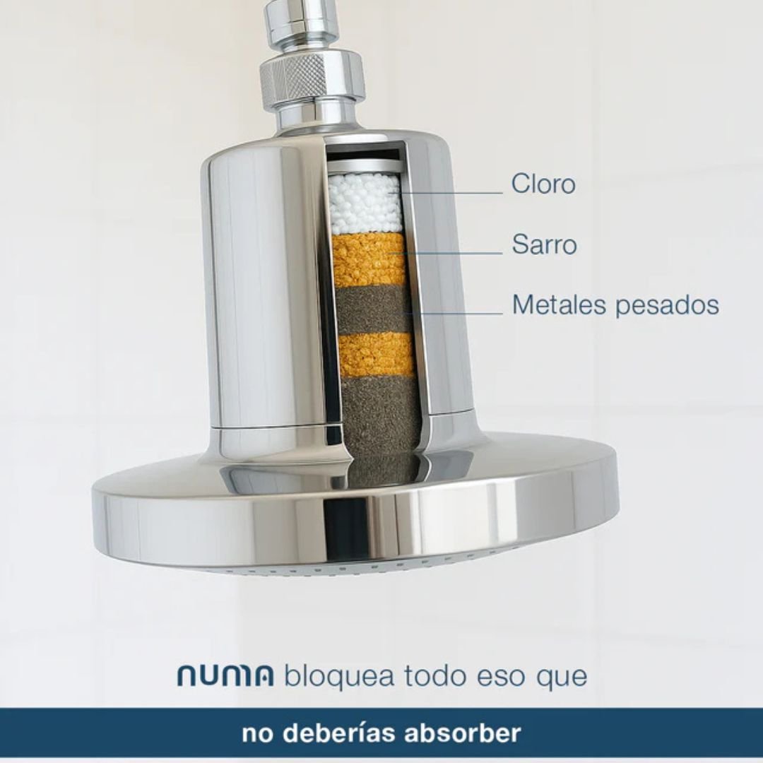 Cabezal de ducha NUMA® - TodoBacano